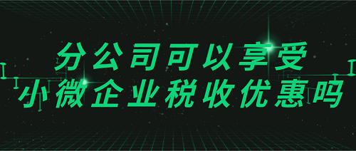 在烟台注册分公司可以享受小微企业税收优惠吗？